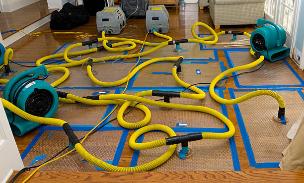 Professional Flood Damage Restoration technician working in Lucerne, CA